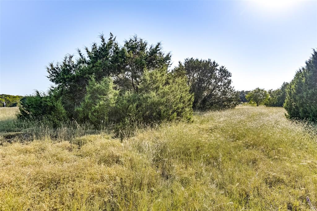 White Bluff #01 - Land