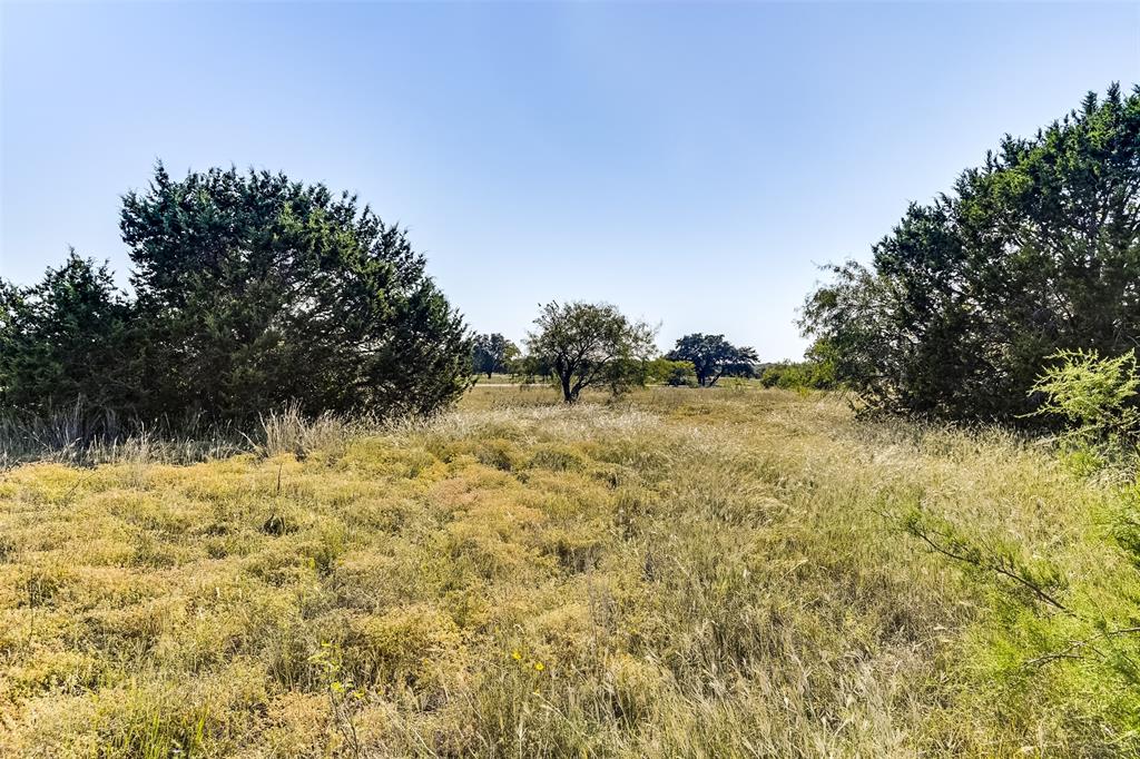White Bluff #01 - Land