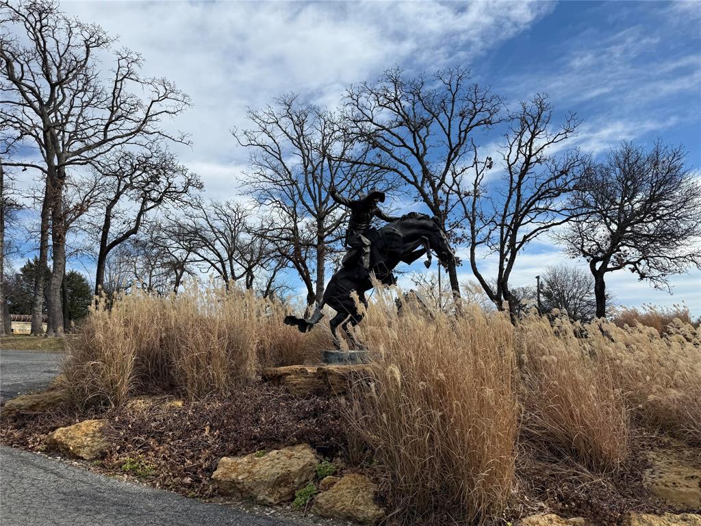 Summit Oaks Ranch Ph One - Land