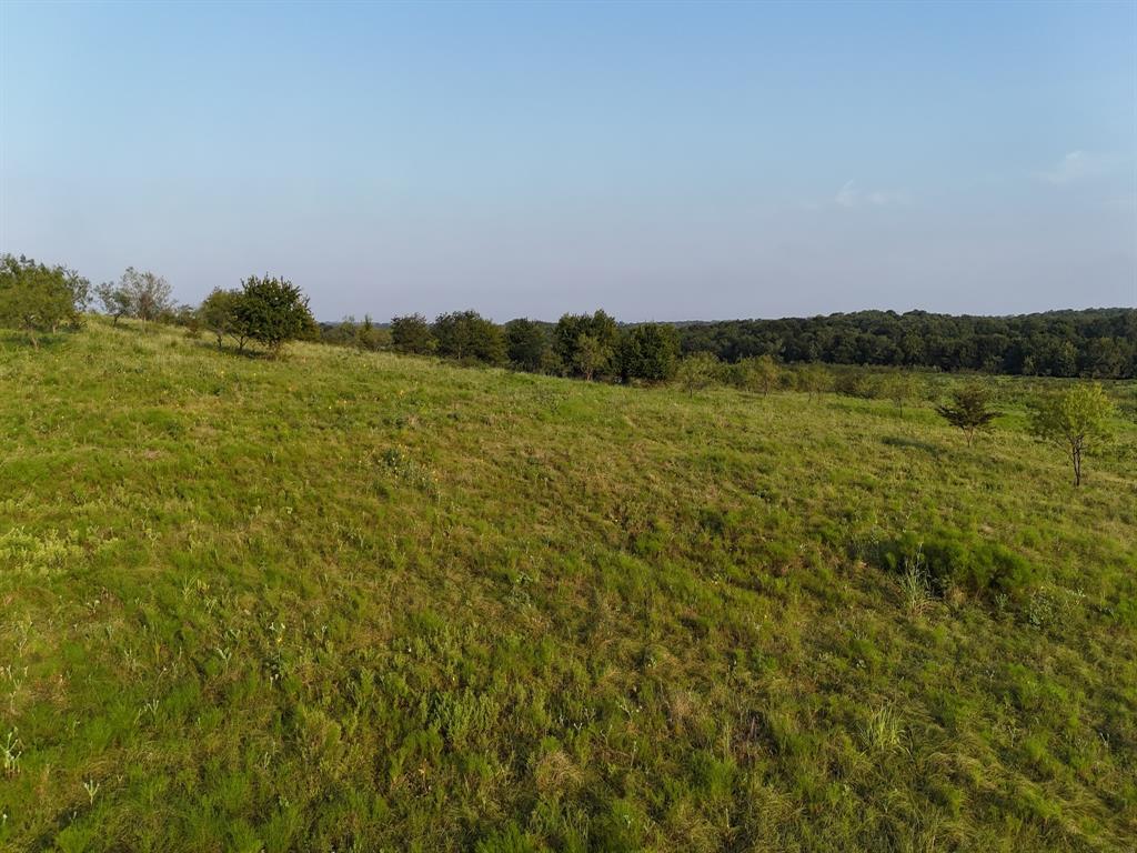Alsdorf Acres - Land