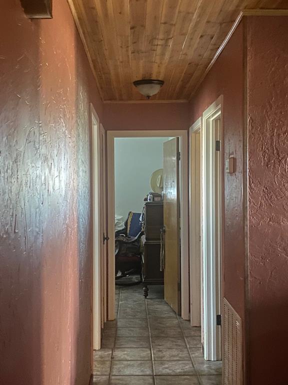 John Bailey - Land