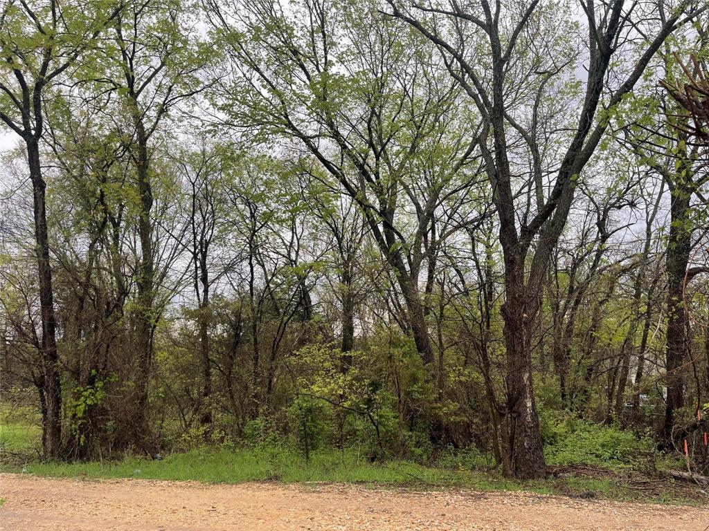 Prime Location Lot for Sale in Cooper, TX. Discover the perfect opportunity to build your dream home or investment property in the heart of Cooper. This centrally located lot is within walking distance to charming downtown Cooper, offering easy access to local shops, restaurants, and community events. Strategically situated between Sulphur Springs, Paris, and Commerce, this lot provides the ideal balance of small-town charm and accessibility to larger cities. Just about an hour's drive from Dallas, you can enjoy the tranquility of rural living while being close to urban conveniences
Don't miss out on this fantastic chance to secure a prime piece of real estate in a growing area. Act now and turn your vision into reality—schedule a visit today and make this lot yours