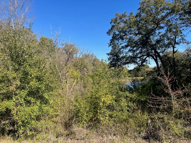 Just a block from Richard Chambers lake, lots of fun and outdoor activates.  Brand new homes are being built in the area, near one million dollar homes.  Very desirable neighborhood.