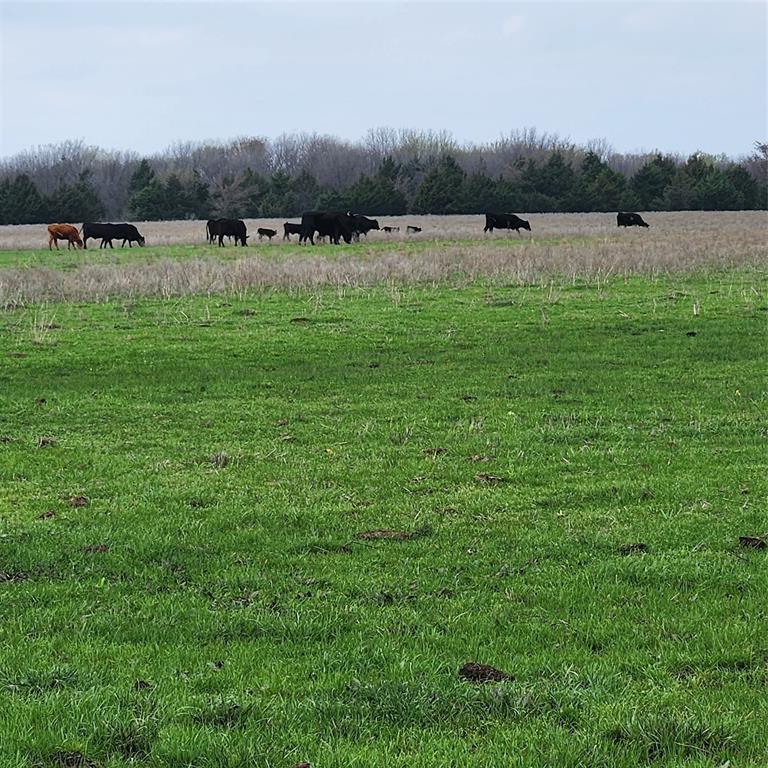 A.S. Roberts Survey - Land