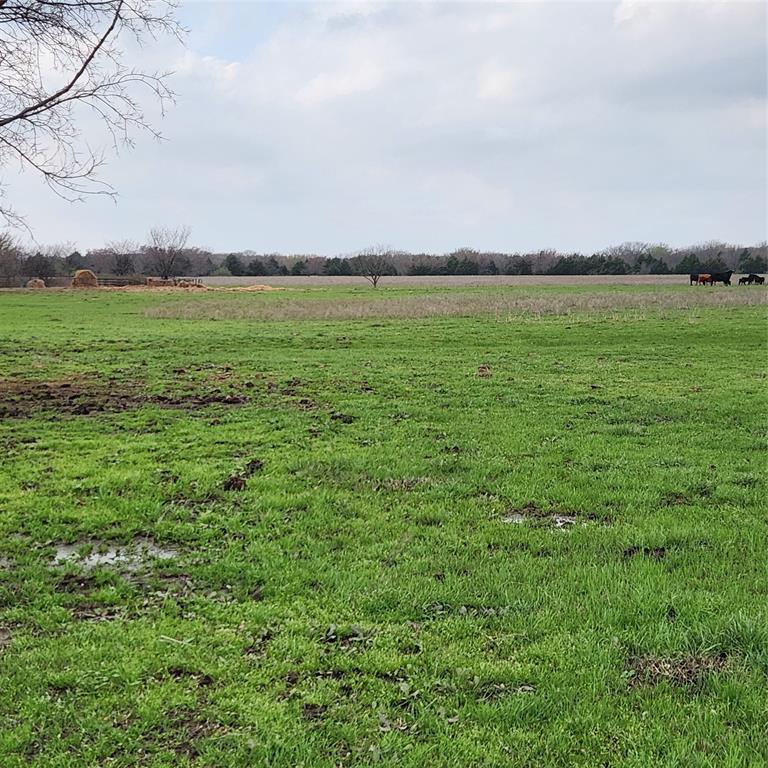 A.S. Roberts Survey - Land