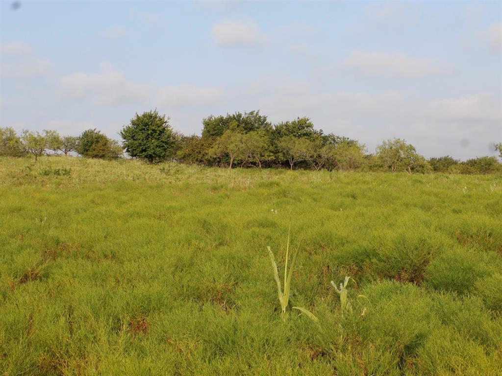 Alsdorf Acres - Land