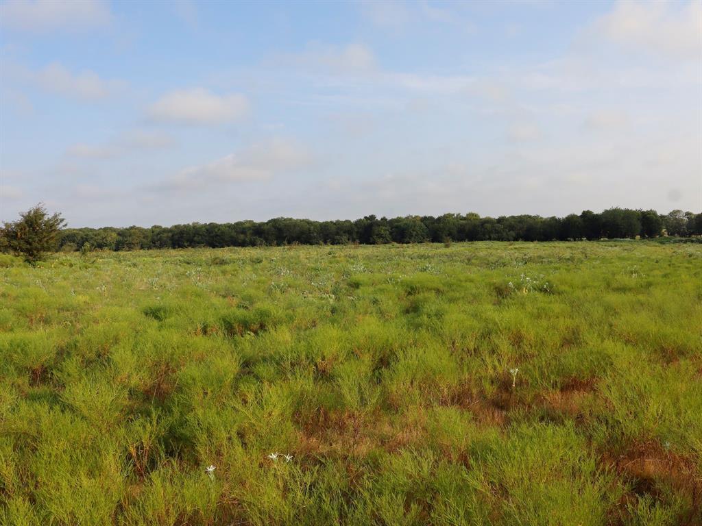 Alsdorf Acres - Land