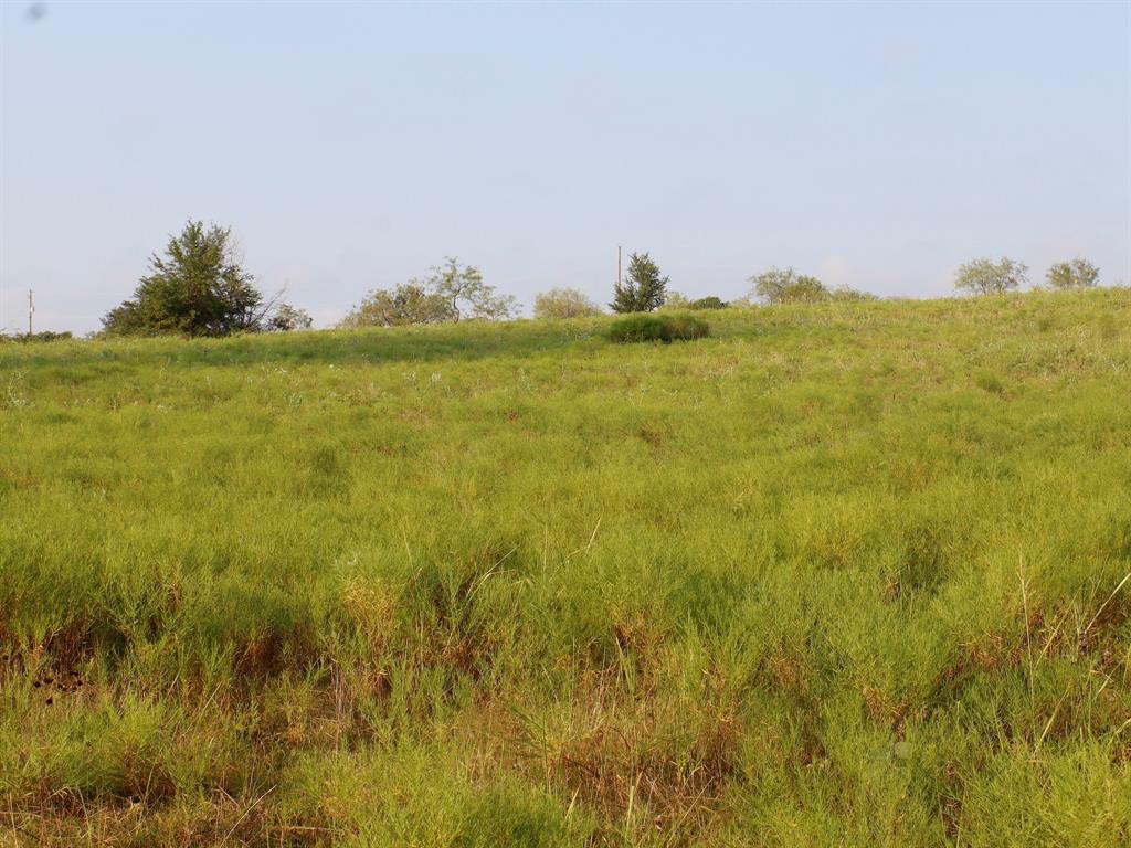 Alsdorf Acres - Land