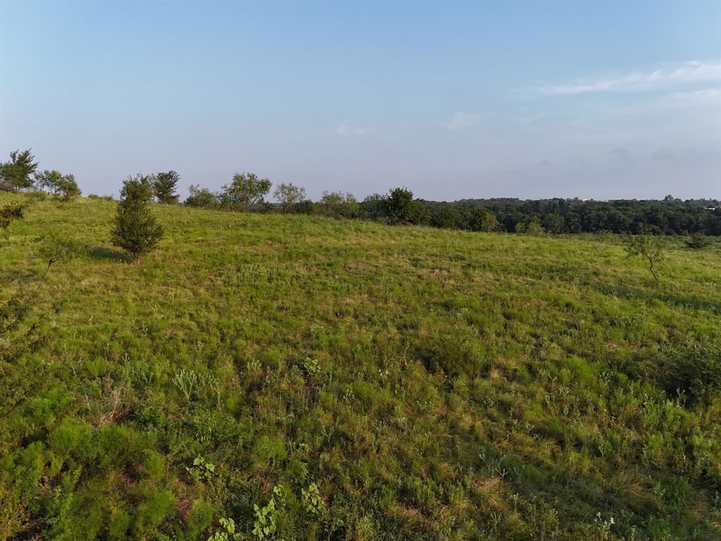 Alsdorf Acres - Land