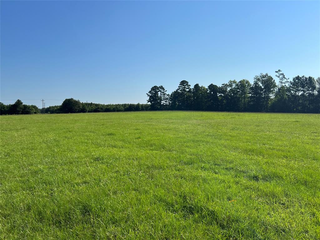 **Disclaimer- Seller is only selling the 7.916 acres of pasture land at the corner of Bates rd and Hwy 5, not the entirety of the 14 acres. Once land is purchased DeSoto parish tax assessors office will then subdivide this land.** 

Come build your dream home on a gorgeous 7.916 acres in Frierson, La. Located conveniently off Hwy 5 with close proximity to I-49. This land has road availability for waterworks district 1, and swepco electricity, NO septic and no sewer located on this property.

*Please see attachments for Legal Description*