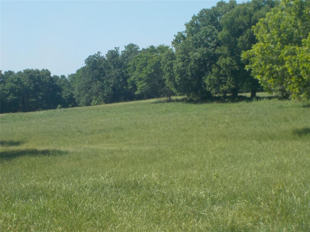 JB Miller - Farm