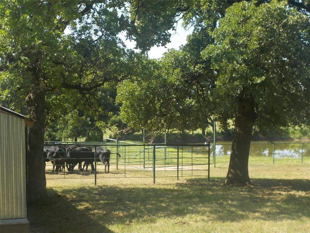 JB Miller - Farm