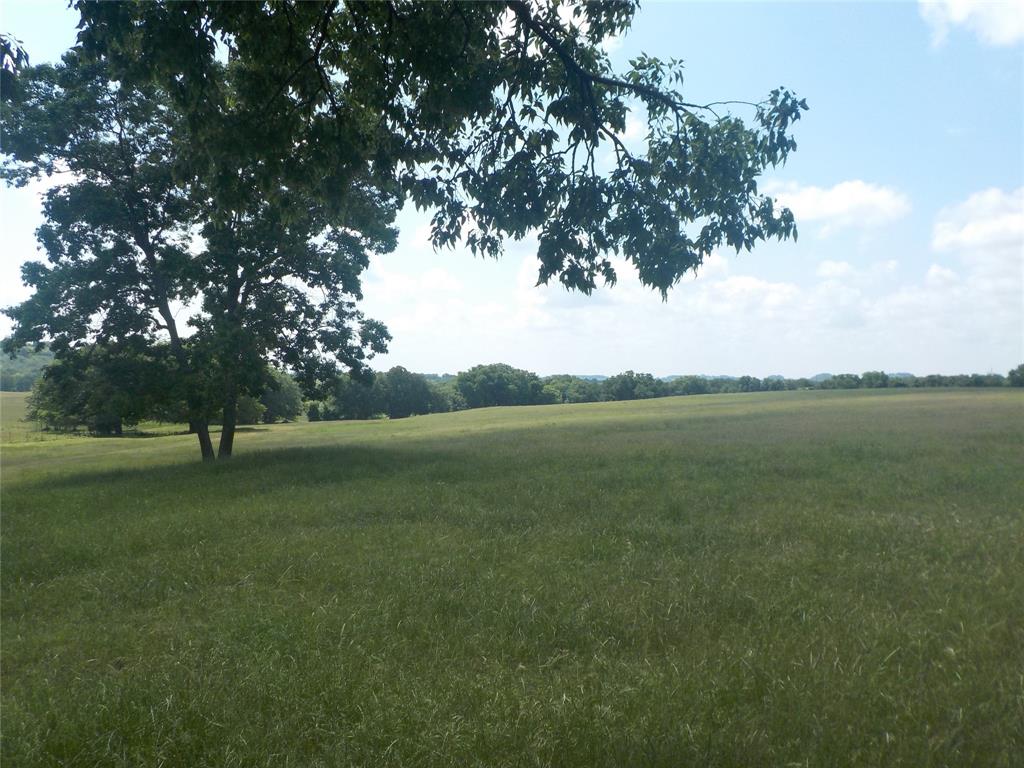 JB Miller - Farm