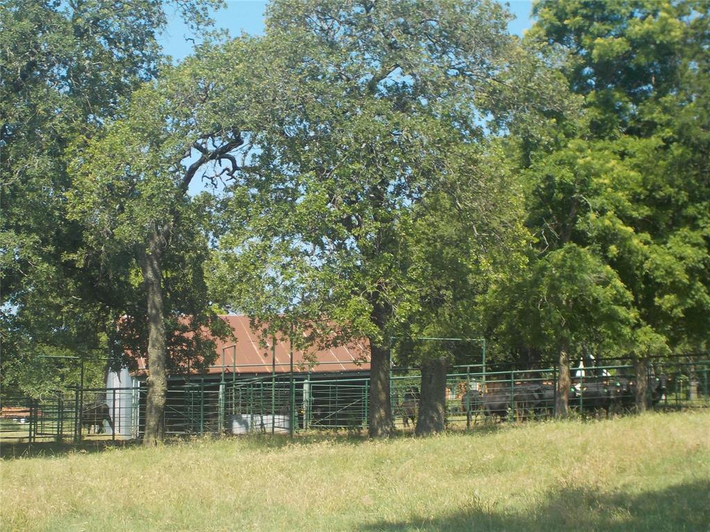 JB Miller - Farm
