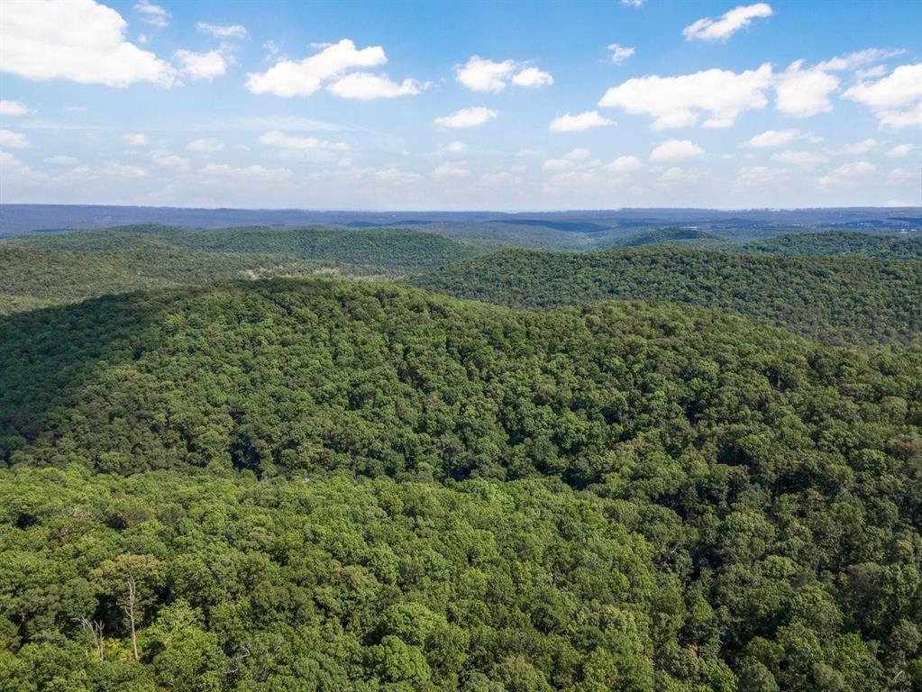 SECTION 36, OF TOWNSHIP 22 NORTH, RANGE 21 WEST, A - Land