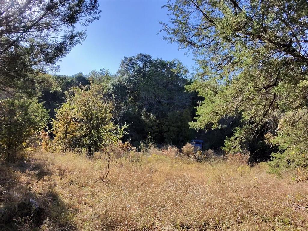 A0270 FORBES BENJAMIN; A0198 - Land