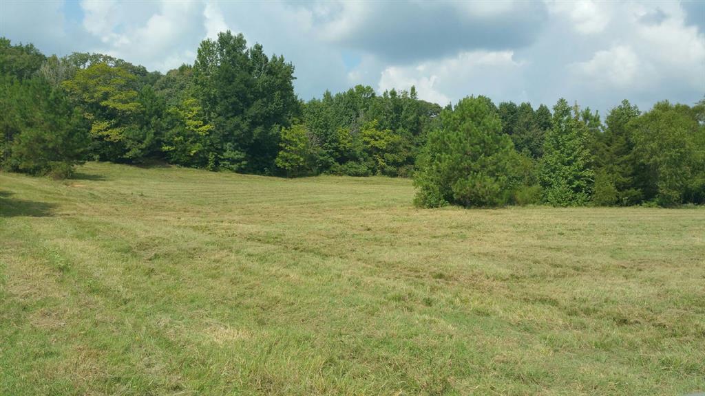 Unique opportunity with multiple options to add value, divide and sell the land, add rentals units, build on acerage for new buyer. 
 Raw land available this portion fronts I20, but has no access from I20, buyer will have arrange access from I20 or owner will provide easement from other portion of same land. Estimated 20 acres + or -, owner will provide a new survey. 
This is a part of land included in listing of a residential income property for sale MLS # 20936927, owner will divide and provide updated survey.
Buyer to verify schools and other information.