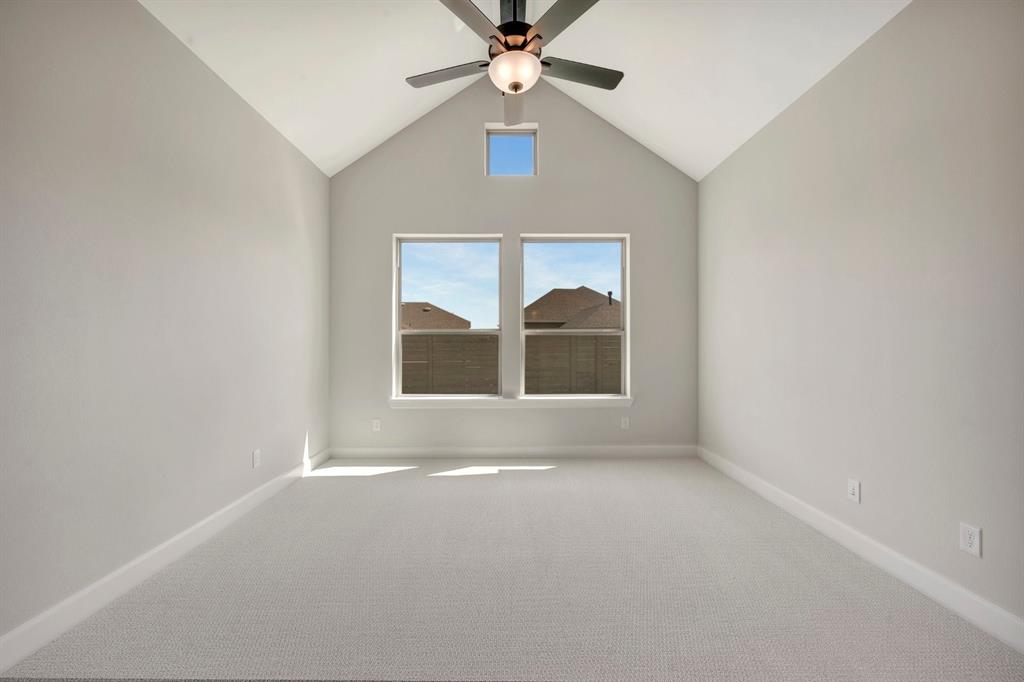 Treeline - Residential