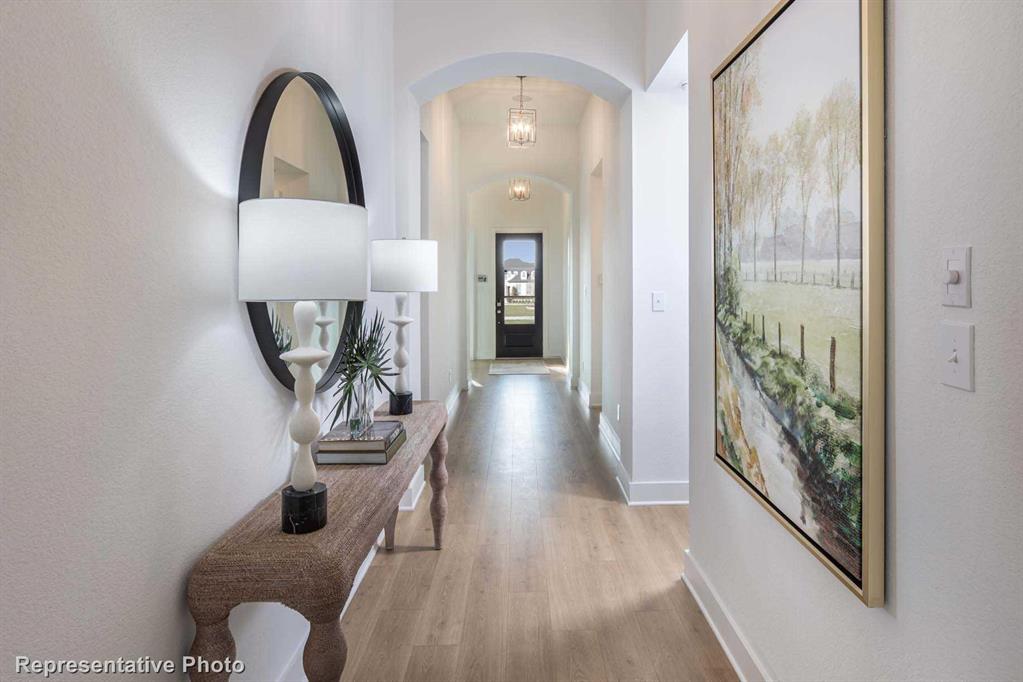 Trinity Falls: Artisan Series - 50' lots - Residential