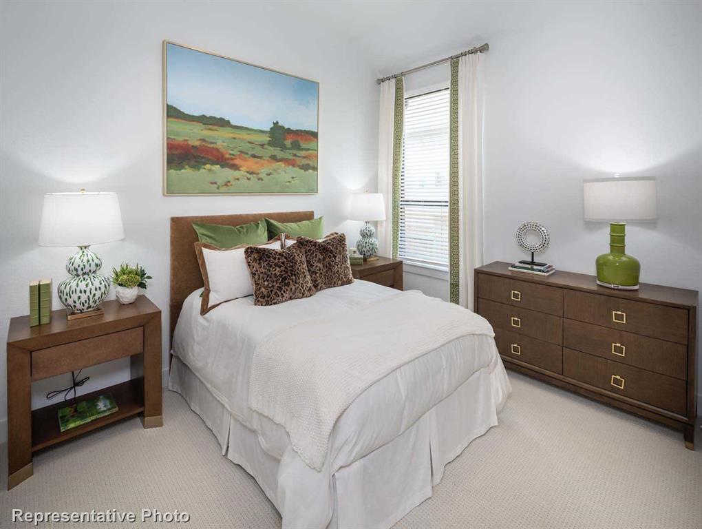 Trinity Falls: Artisan Series - 50' lots - Residential
