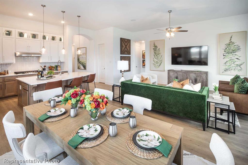 Trinity Falls: Artisan Series - 50' lots - Residential