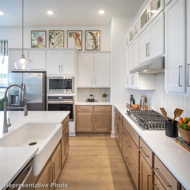 Trinity Falls: Artisan Series - 50' lots - Residential