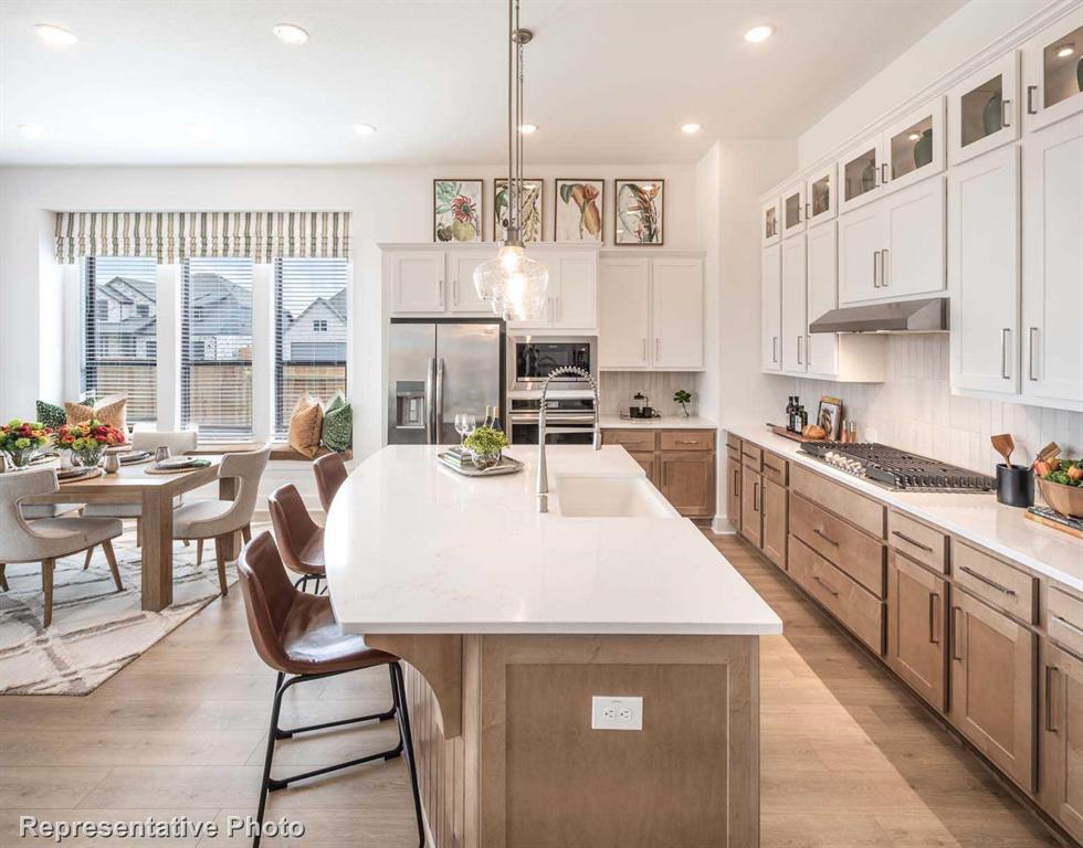 Trinity Falls: Artisan Series - 50' lots - Residential