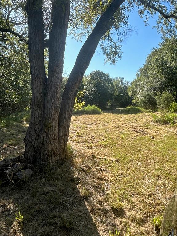 Spring Hollow - Land