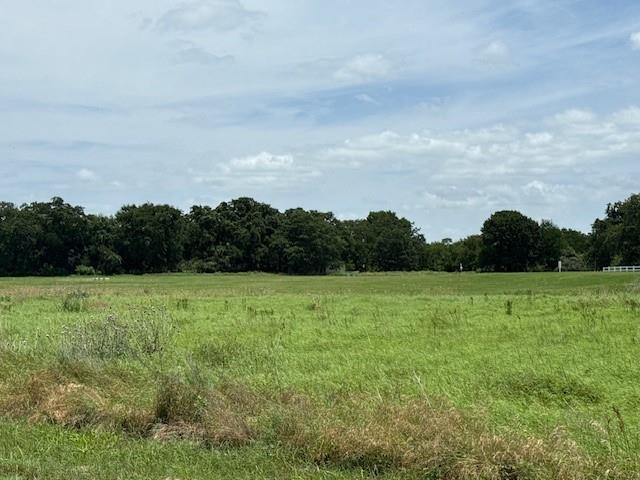 White Bluff #27 - Land