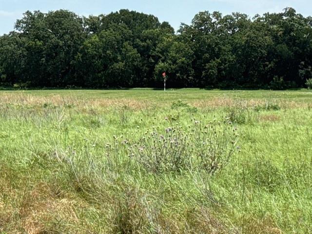 White Bluff #27 - Land