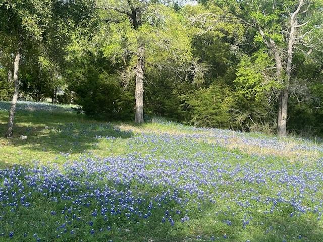 White Bluff #27 - Land