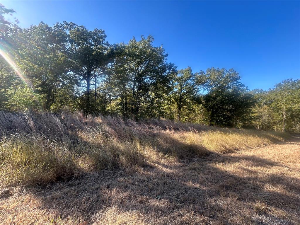Two adjacent lots located in the Point La Vista community. This is an excellent opportunity to build in a well-established
lake community offering amenities such as a community pool and boat ramp. These lots provide endless possibilities,
with potential access from the main entrance on Point La Vista Road or a secondary entrance on Boca Chica. Seller financing available. Lots: 58,
, 18, Henderson CAD Property IDs: 276717, 276757