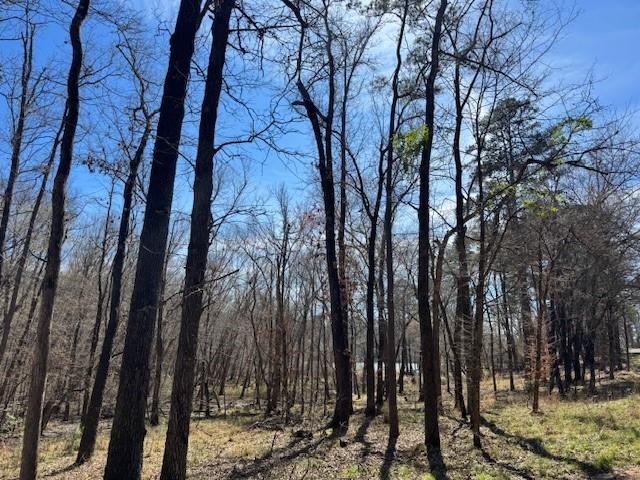 Peaceful, private lake living awaits on this beautiful 4+ acre corner lot at Pineywoods Lake in Frankston. Tucked among mature trees with abundant wildlife, this wooded tract offers the perfect setting to build your dream retreat surrounded by nature. Pineywoods Lake is an 80-acre private, no-wake lake reserved exclusively for members and their guests, creating a quiet, relaxed environment ideal for fishing, kayaking, and enjoying the outdoors. The lake is well stocked, making it a favorite spot for anglers and nature lovers alike. Property owners also enjoy access to a community commons area featuring a pavilion, picnic space, and lake docks where neighbors gather to fish, swim, and relax by the water. The community fosters a welcoming atmosphere with events such as Fourth of July celebrations and fireworks, neighborhood potlucks, and bingo nights, making it easy to connect with others who appreciate lake life. Additional peace of mind comes from an active community watch program, while nearby amenities include Pine Dunes Golf Course, widely recognized as one of the top public golf courses in Texas. If you’re looking for quiet lakefront living, wooded privacy, and a private fishing lake community, this exceptional corner lot offers the perfect opportunity to create your own East Texas escape.