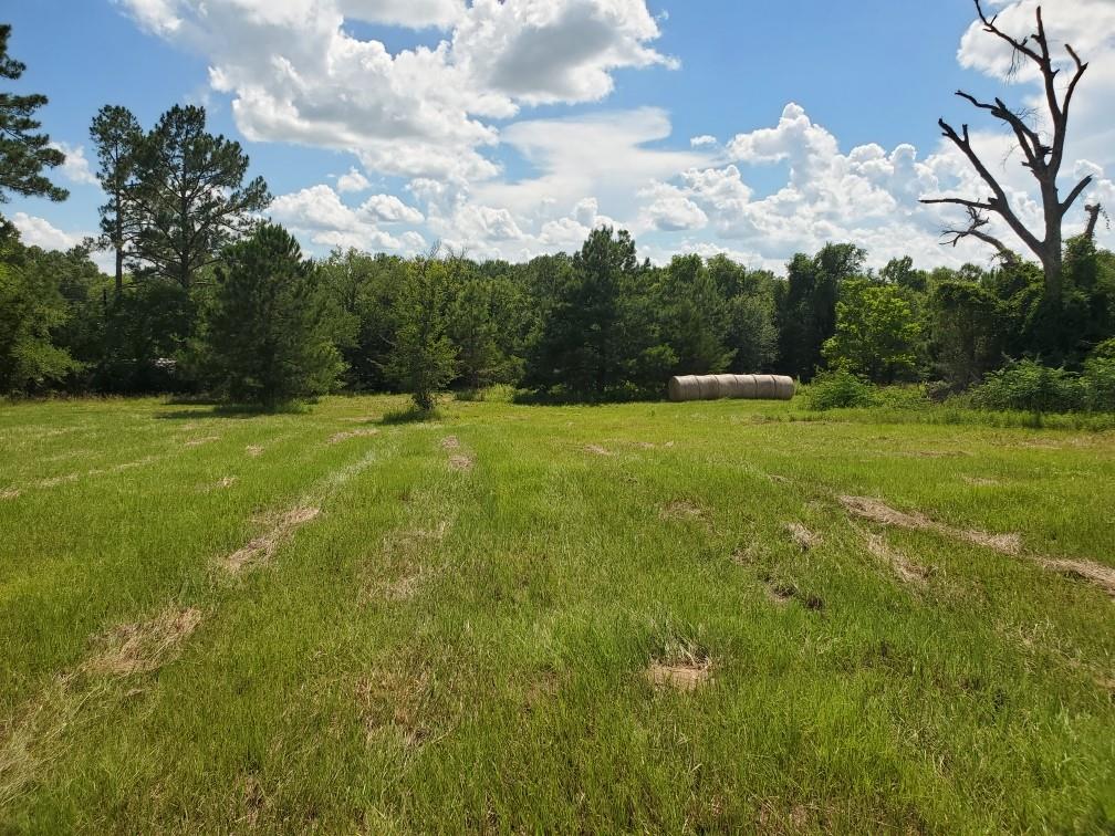 Glade Creek - Land