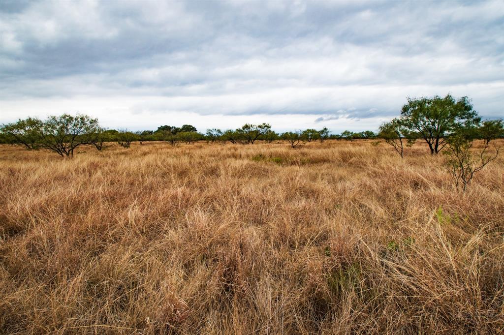 A0750 - Land