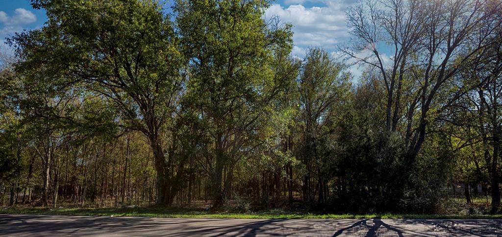 Build your dream home with the convenience of being less than 5 minutes away from all the entertainment and shopping Lancaster has to offer. Minutes away from I-35. These vacant lots are perfect for a first time homebuyer or a builder looking to develop near all new construction homes. New construction homes down the street have all recently sold in the 400s so this calls for a great investment opportunity!
Lot is in a flood zone 500 year plain.