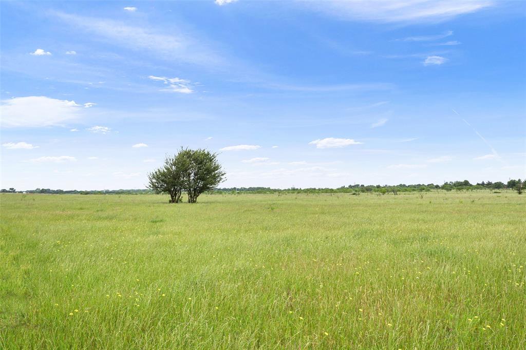 Varela - Land