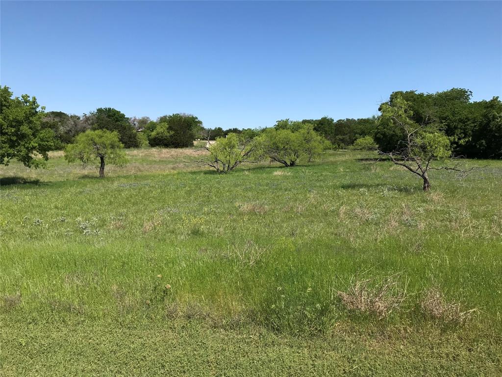 White Bluff #19 - Land