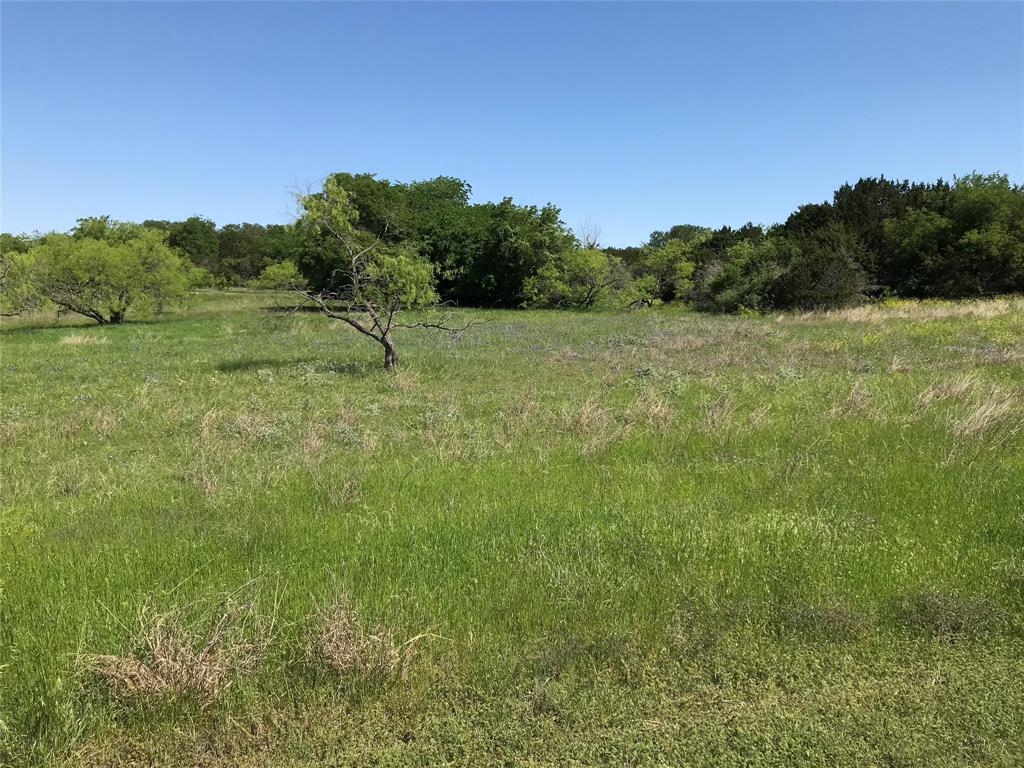 White Bluff #19 - Land