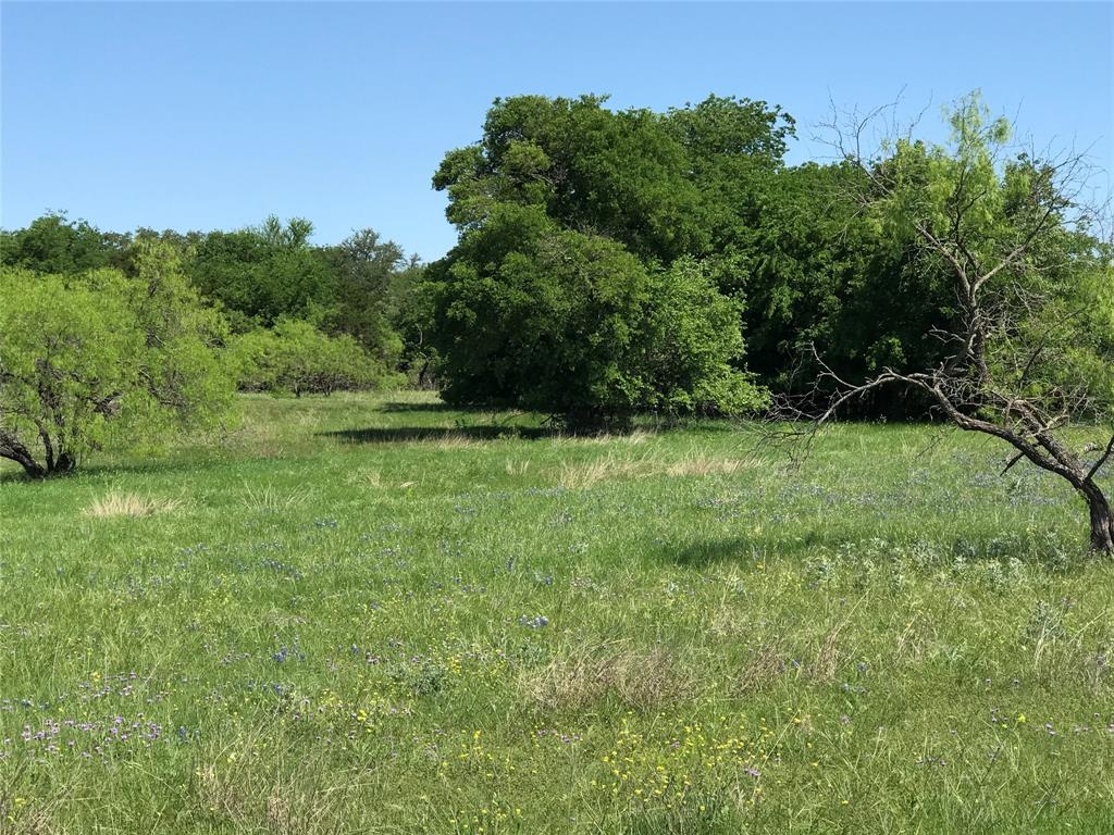 White Bluff #19 - Land