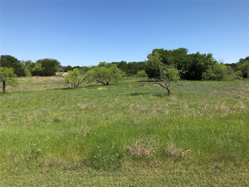 White Bluff #19 - Land