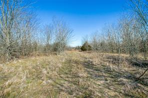 no - Farm