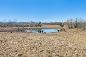 no - Farm