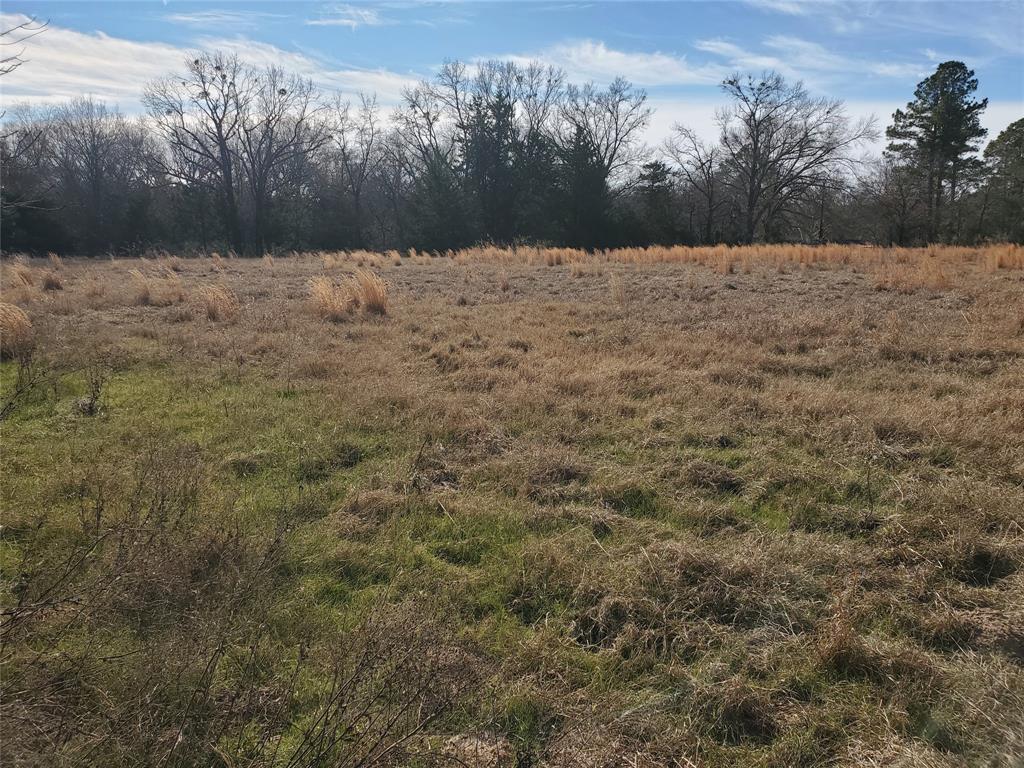 Glade Creek - Land