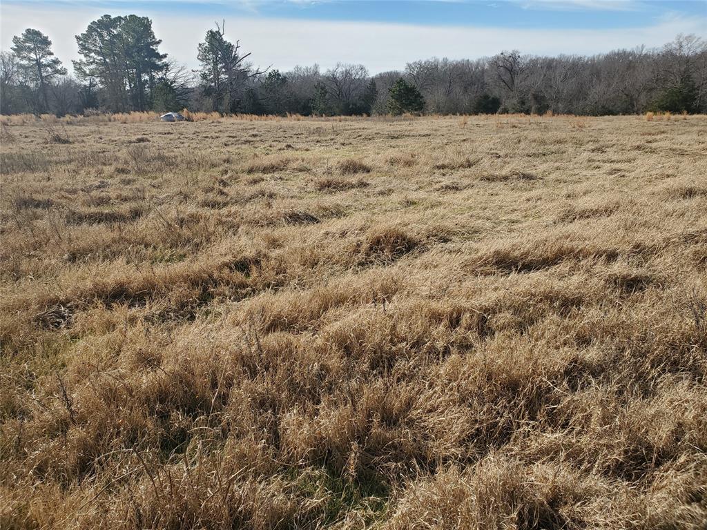 Glade Creek - Land