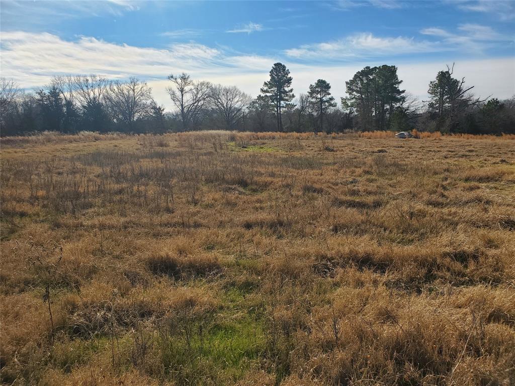 Glade Creek - Land