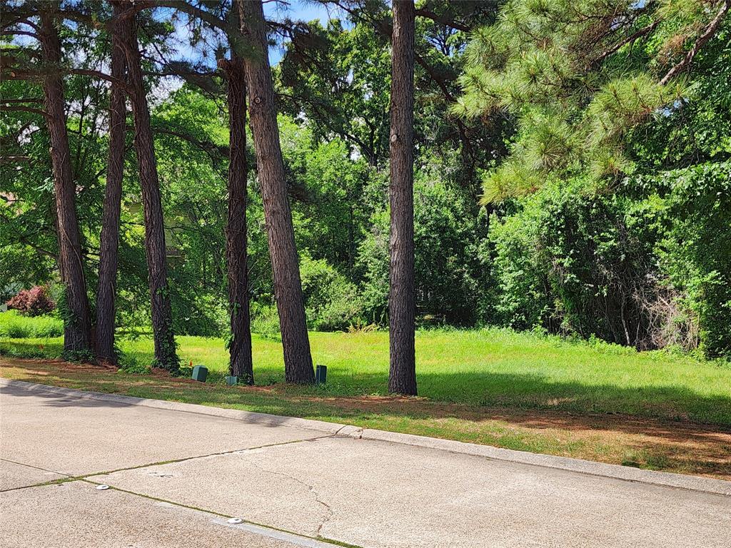 This beautiful homesite offers a peaceful setting with a mix of cleared space and mature trees, giving you the perfect balance of privacy and natural charm. With plenty of room to build your dream home, this property is ideal for anyone looking to be close to the water without the lakefront price.