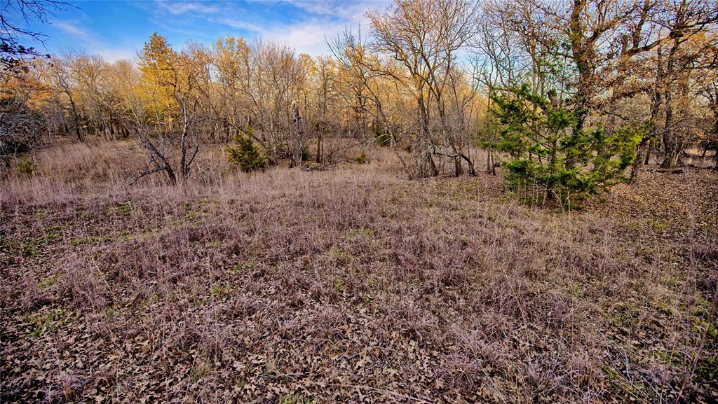 Silver Lakes Ranch - Land