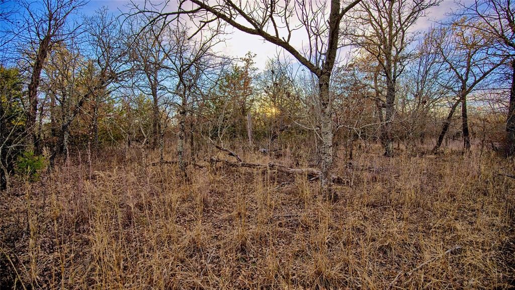 Silver Lakes Ranch - Land