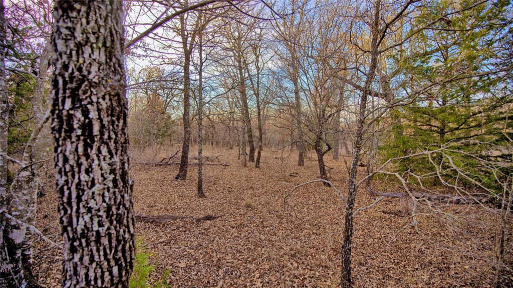 Silver Lakes Ranch - Land